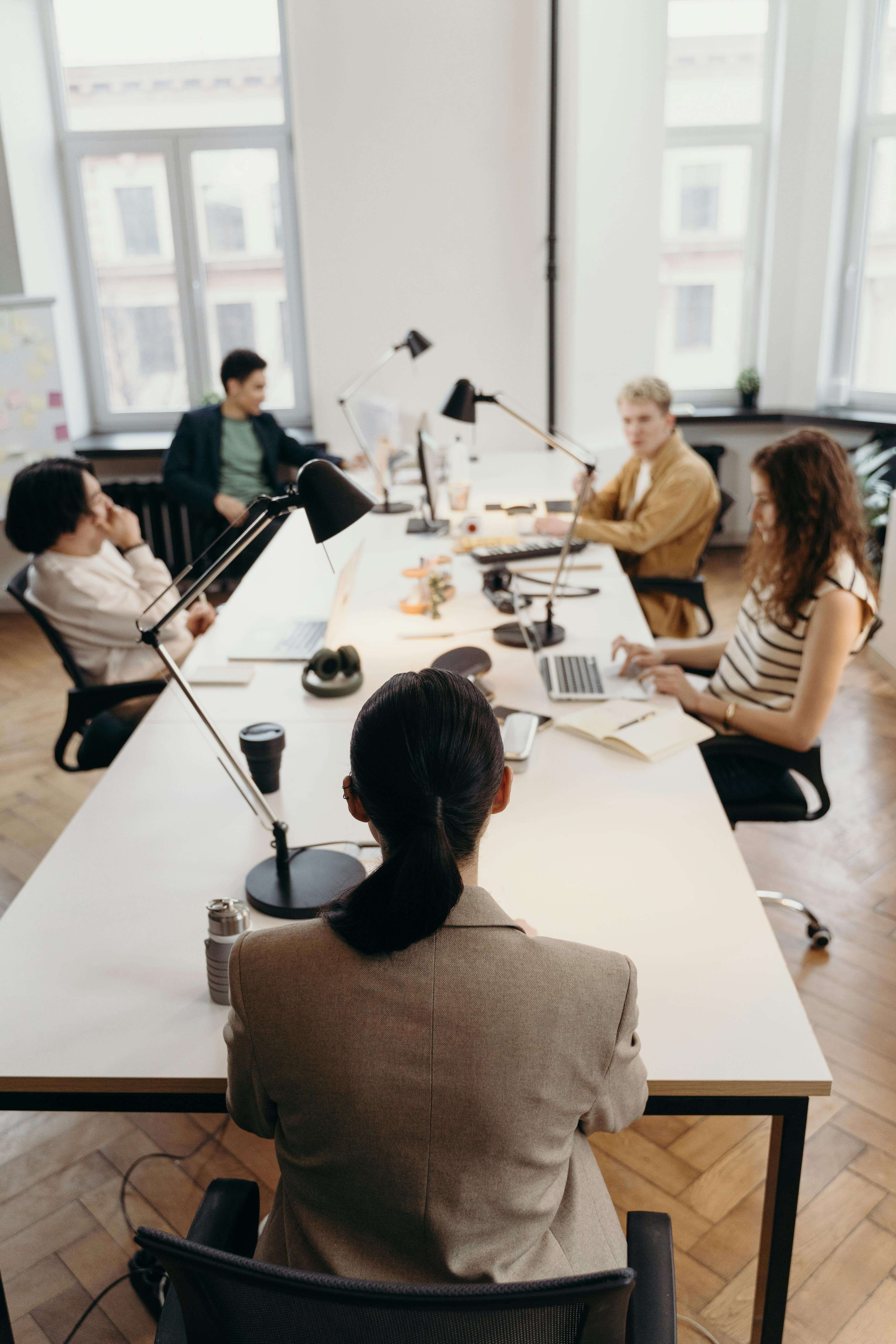 A female entrepreneur and perfectionist sits at the head of a table during a staff
                meeting. Four other staff look to her and wait for the meeting to start.